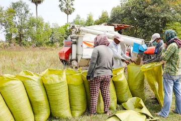 පොළොන්නරුවේ ගොවීන්ට සතුටු හිතෙන ආරංචියක් - රුපියල් මිලියන 800ක් වෙන් කරයි