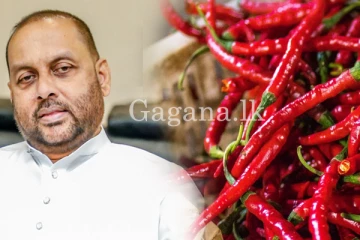 රුපියල් ලක්ෂ ගණනක වාර්තාවක් තැබූ අනුරාධපුරේ ගොවි රජෙක්.