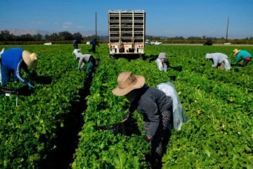 இத்தாலியில் புலம்பெயர் தொழிலாளருக்கு நேர்ந்த கொடூரம்