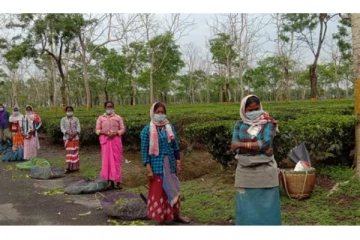 பெருந்தோட்ட தொழிலாளர்களுக்கு வழங்கப்பட்ட உறுதிமொழிக்கு, கால தாமதத்தின் பின்னர் அமைச்சரவை அங்கீகாரம்!