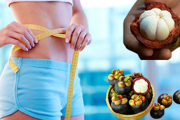 Manggis penurun berat badan… coba makan cara ini setiap hari!