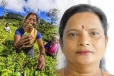 மக்களுக்கான அபிவிருத்தியை செயலில் காட்டுகிறோம்: கலைச்செல்வி எம்.பி சுட்டிக்காட்டு
