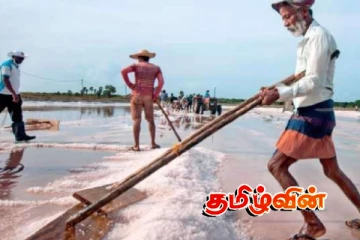 ஹம்பாந்தோட்டையில் அதிகூடிய உப்பு விளைச்சல்