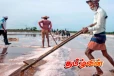 ஹம்பாந்தோட்டையில் அதிகூடிய உப்பு விளைச்சல்