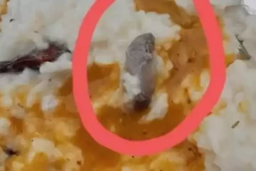 NLC கேண்டீன் உணவில் செத்த எலி - 22 பேருக்கு வாந்தி, மயக்கம்!