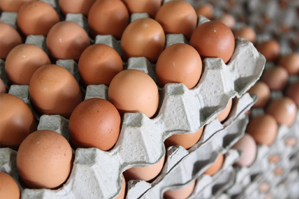 முட்டை விலையில் மாற்றம் - வெளியான வர்த்தமானி | Egg New Price In Sri Lanka முட்டை விலையில் மாற்றம் - வெளியான வர்த்தமானி | Egg New Price In Sri Lanka