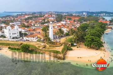 ගාල්ලේ විශාල බලු කරදරයක්