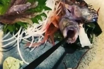 சாப்பிட ஆர்டர் செய்த மீனுக்கு திடீர்னு உயிர் வந்த அதிர்ச்சி…. உறைந்து போன கஸ்டமர்