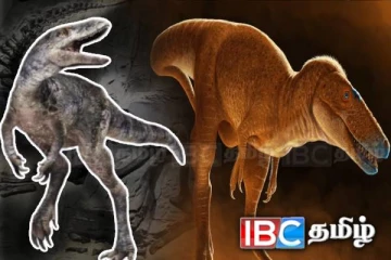 புதிய டைனோசர் இனத்தை கண்டுபிடித்துள்ள விஞ்ஞானிகள்