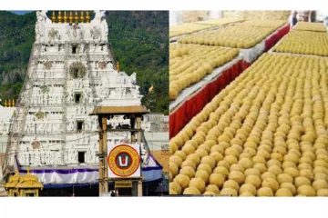 திருப்பதி லட்டு விவகாரத்தில் அலறும் அமுல் நிறுவனம்- இதுதான் காரணமா?