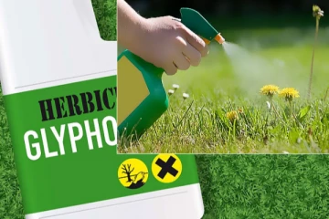 විශේෂ ගැසට් නිවේදනයක් - ග්ලයිෆොසේට් ගැන අලුත්ම තීරණයක්..!