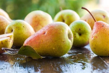 வயிற்றிலுள்ள ஏகப்பட்ட பிரச்சினைகளுக்கு மருந்தாகும் பேரிக்காய்! தினமும் சாப்பிடலாமா?