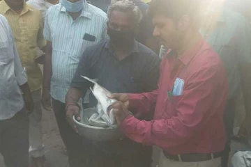 பல கிலோவிற்கும் மேல் கெட்டுப்போன இறைச்சிகள் பறிமுதல் - பொதுமக்கள் அதிர்ச்சி