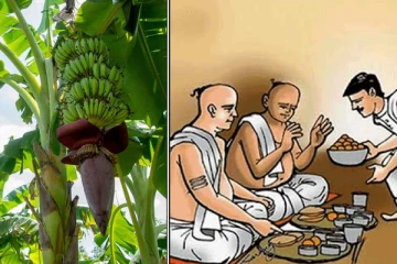 உணவால் உண்டாகும் 5 தோஷங்கள்