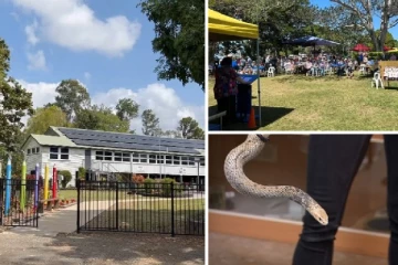 அவுஸ்திரேலியாவில் முதியவரின் காலில் சுற்றிய விஷப்பாம்பு: காப்பாற்ற முயன்ற நண்பருக்கு நேர்ந்த சோகம்