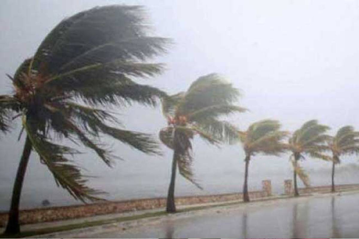 மழையுடனான வானிலை நீடிக்கும் சாத்தியம்! வளிமண்டலவியல் திணைக்களத்தின் அறிவிப்பு | Today Climate In Sri Lanka மழையுடனான வானிலை நீடிக்கும் சாத்தியம்! வளிமண்டலவியல் திணைக்களத்தின் அறிவிப்பு | Today Climate In Sri Lanka