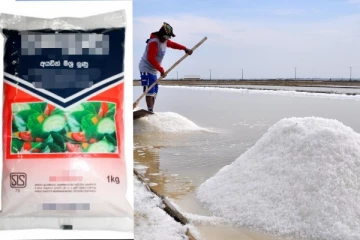 ලුණු කන හැමෝටම අතිශය භයානක ආරංචියක්...හේතුව මෙන්න.