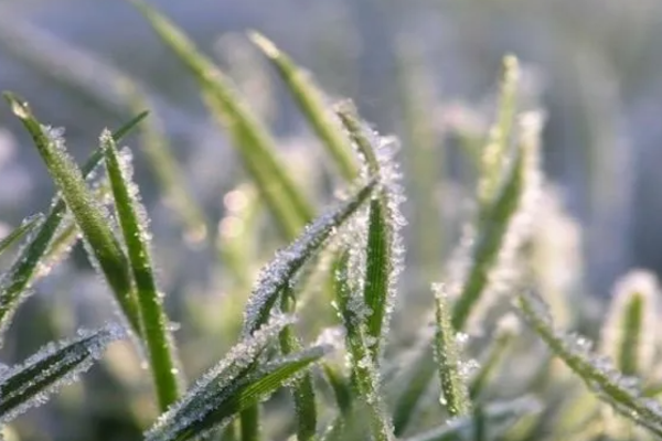 வடக்கு உள்ளிட்ட பகுதிகளில் மீண்டும் மழை.. வெளியான தகவல் | Rain Again Sevaral Areas Meteorological Department