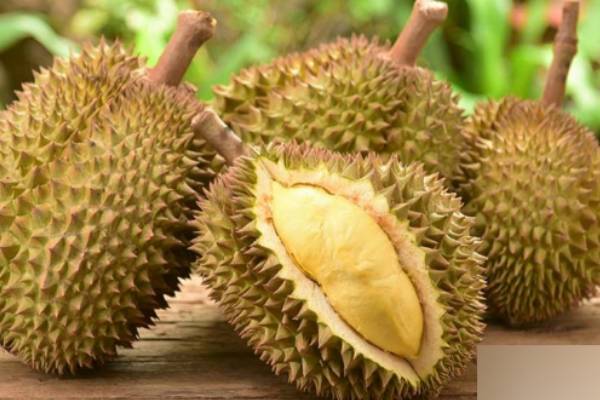 குடும்பஸ்தரின் உயிருக்கு எமனாக மாறிய பழம் | Man Dies After Getting Durian Seed Stuck