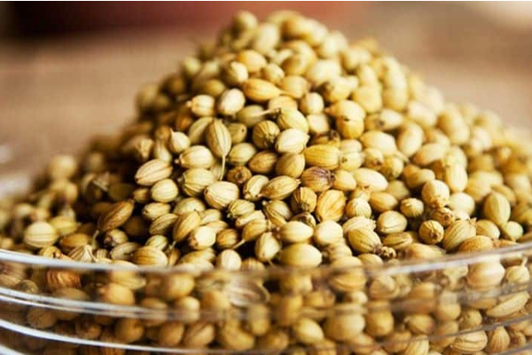 இந்த ஒரு விதையை சாப்பிட்டா  இரத்த சர்க்கரை அளவு ஏறுன வேகத்தில் குறைஞ்சிடும்! எப்படி தெரியுமா? | Benefits Of Coriander Seed