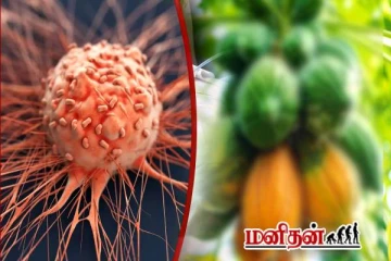 புற்றுநோய் செல்களின் வளர்ச்சியை குறைக்கும் பழம்- யாரெல்லாம் சாப்பிடக்கூடாது?