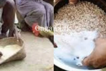 "ආච්චිට හාල් ගරනවා" කියල කීවට ඒ මොකක්ද කියලා කවදාවත් හරියට දැනගෙන හිටිය ද?.(PHOTOS)