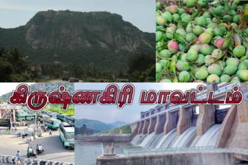தமிழகத்தில் அதிகளவில் மாம்பழம் உற்பத்தி செய்யும் கிருஷ்ணகிரி மாவட்டத்தின் வரலாறு தெரியுமா..?