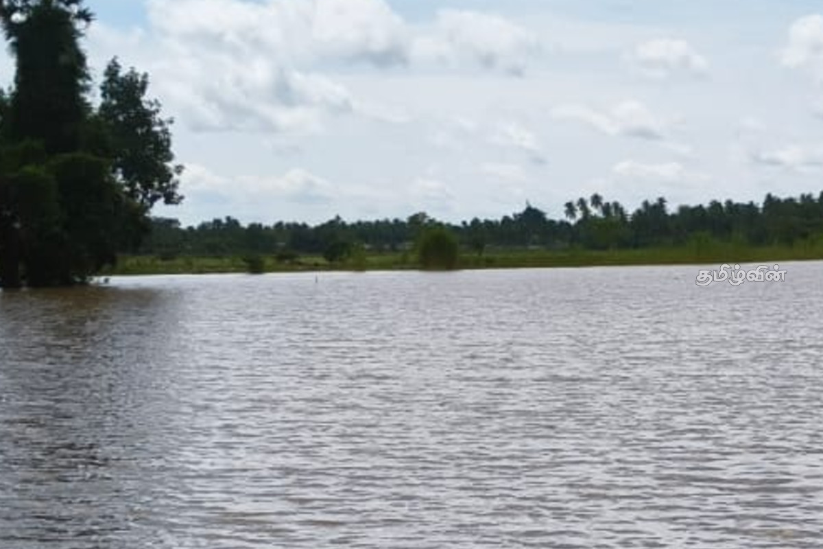 நாட்டில் கொட்டித்தீர்க்கும் கனமழை - 200 ஏக்கருக்கு மேல் நீரில் முழ்கிய விவசாய நிலங்கள் | Over 200 Acres Of Agricultural Land In Water நாட்டில் கொட்டித்தீர்க்கும் கனமழை - 200 ஏக்கருக்கு மேல் நீரில் முழ்கிய விவசாய நிலங்கள் | Over 200 Acres Of Agricultural Land In Water