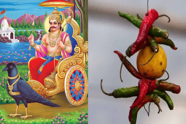 வாகனங்கள், கடைகளில் எலுமிச்சை- மிளகாய் தொங்க வைக்க காரணம் என்ன? | Hanging Lemon Chilli At Shops Vehicles Real Reason
