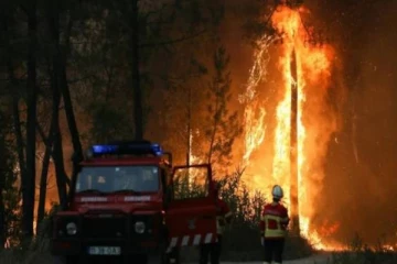 ஸ்பெயினில் எரிந்து சாம்பலான 988 எக்கர் பரப்பிலான வனப்பகுதி!