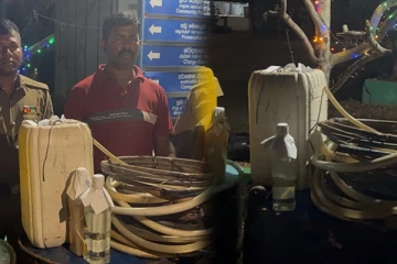 புதுக்குடியிருப்பில் இளைஞன் ஒருவர் கைது