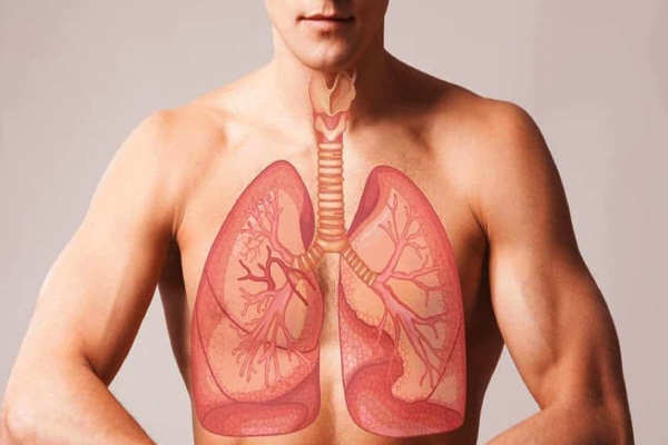 நாள்பட்ட நுரையீரல் சளியை கரைத்து வெளியேற்றும் உணவுகள் | Foods That Reduce Mucus In Lungs In Tamil நாள்பட்ட நுரையீரல் சளியை கரைத்து வெளியேற்றும் உணவுகள் | Foods That Reduce Mucus In Lungs In Tamil