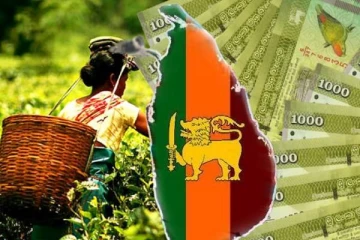 இலங்கை வரலாற்றில் ஏற்றுமதி துறையில் ஏற்பட்டுள்ள பெரும் இழப்பு: தடுமாறும் பொருளாதாரம்