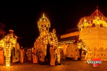 දෙයියනේ එයාලා නැතුව ඇසළ පෙරහැර කරලා වැඩක්ද? ඓතිහාසික මංගල්යය ගැන ඇහෙන අලුත්ම තොරතුරු මෙන්න