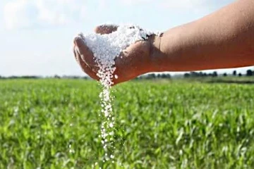 தேயிலைக்கான உர கொள்வனவுக்கு வட்டியில்லா கடன் திட்டம்