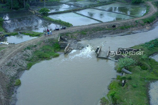 கிண்ணியாவில் வான்எல முஸ்லிம் கொலனி அணை உடைப்பு : 800 ஏக்கர் வயல்கள் தண்ணீரின்றி தவிப்பு | Kinniya Muslin Colony