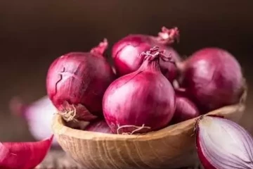 2024 வரை வெங்காய ஏற்றுமதிக்கு தடை