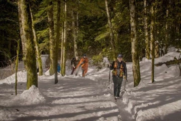 கனடாவில் தெய்வாதீனமாக உயிர் தப்பிய சுற்றுலாப் பயணிகள்