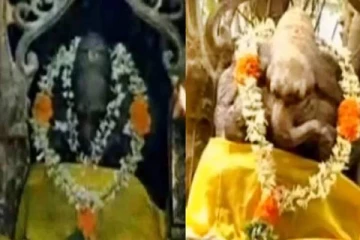 6 மாதத்திற்கு ஒருமுறை நிறத்தை மாற்றும் விநாயகர்! என்ன காரணம் தெரியுமா?