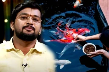 மீன்களுக்கு உணவளித்தால் கடன் பிரச்சினை தீருமா? உங்களுக்கான பரிகாரங்கள்