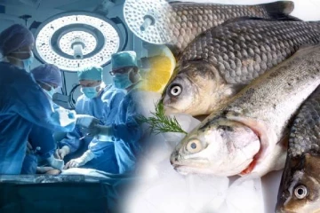 மீன் ஆசையால் 4 உறுப்புகளை இழந்த அமெரிக்க பெண்