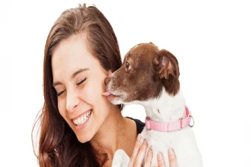 பாசமாக நக்கும் நாய்களிடம் இருந்து இந்த ஆபத்து வருமாம்: என்ன ஆபத்து தெரியுமா?