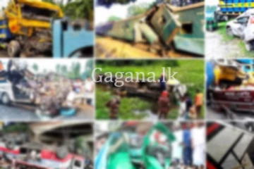 තත්වය භයානකයි. - පැය 3කට වරක් ජීවිත 4ක් පාරට බිලි.