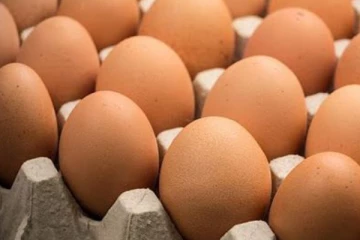 බිත්තර ගැන අලුත් ආරංචියක්..