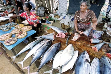 அரச வைத்தியசாலைகளுக்கு மீன் விநியோகிப்பதில் தடை