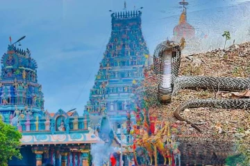 நயினாதீவு நாகபூஷணி அம்மன்  பக்தர்களை மெய்சிலிர்க்கவைத்த  ராஜநாகம்