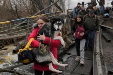 போருக்கு மத்தியில் வளர்ப்பு பிராணிகளுடன் வெளியேறும் உக்ரைன் மக்கள்