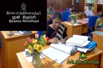 பெண்கிராம அலுவலர்களின் பாதுகாப்பை உறுதிப்படுத்துமாறு முன்வைக்கப்பட்ட கோரிக்கை