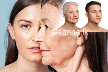 වයසට නොයන තරුණ බව රැකෙන දිව්‍ය ඖෂධයක් ලංකාවෙන් සොයා ගැනේ..