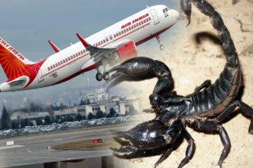 ஏர் இந்தியா விமானத்தில் பயணித்த பெண்ணை தேள் கொட்டியது